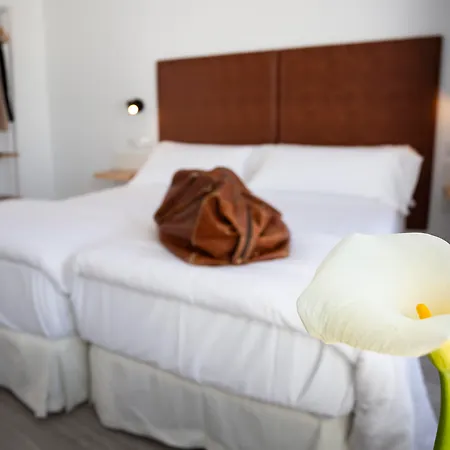 Basic Catedral Hotel Siviglia